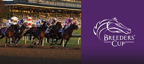 bookmakers prada cup|Breeders Cup .